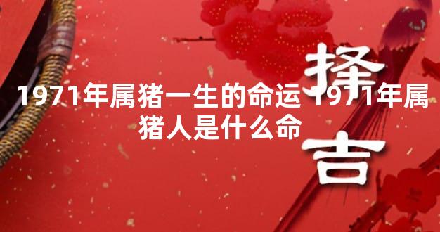 1971年属猪一生的命运 1971年属猪人是什么命